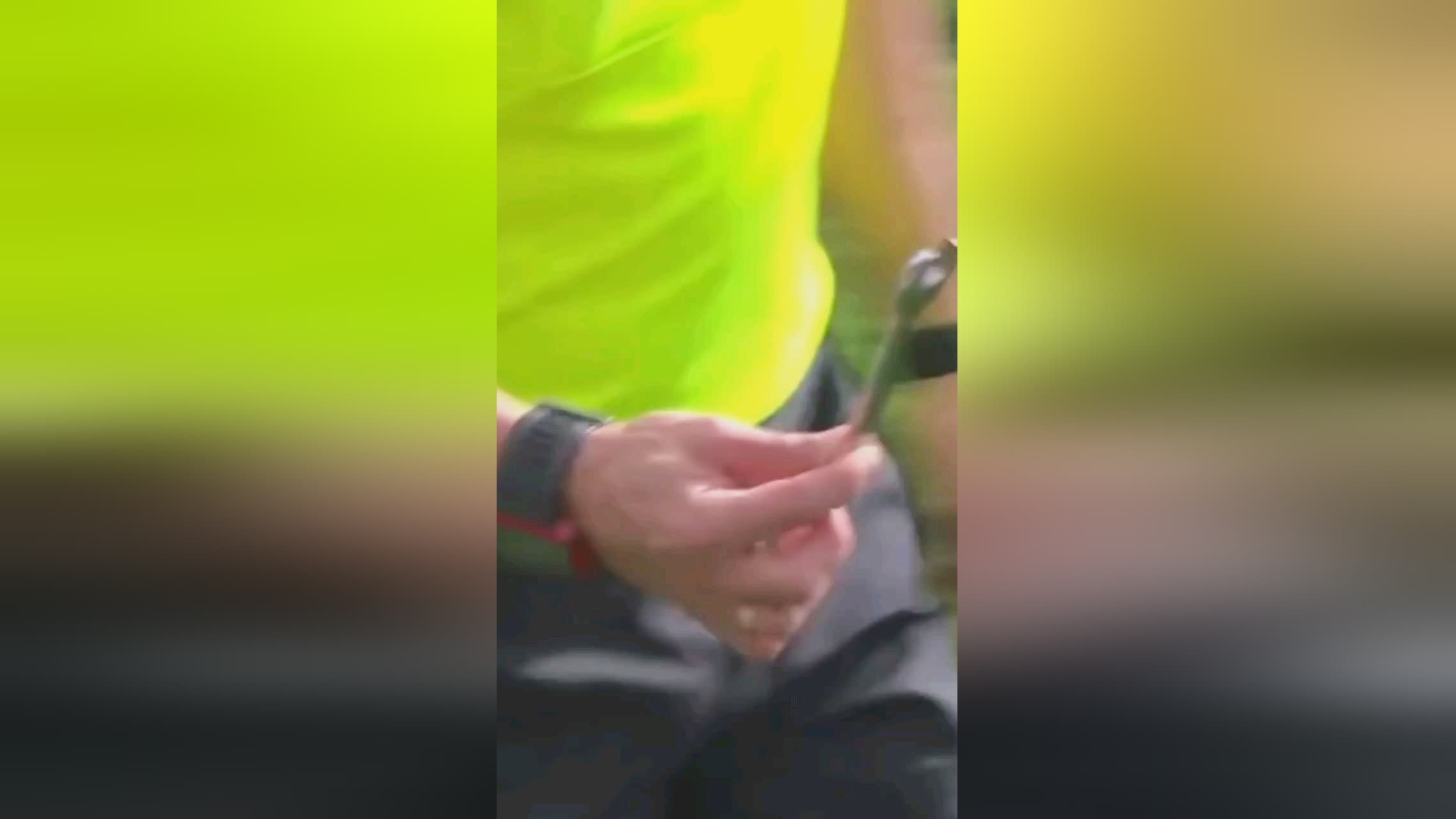 体对